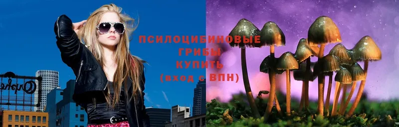 Галлюциногенные грибы Magic Shrooms  Лосино-Петровский 